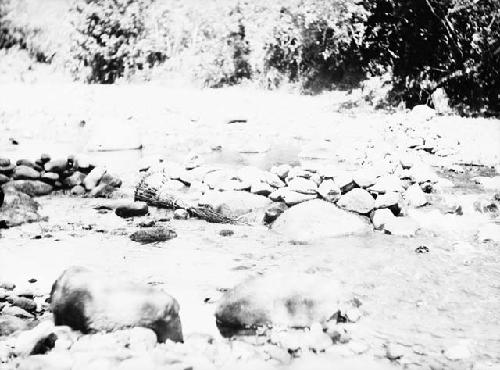 Fish dam with trap in place, branch of Tabasara River