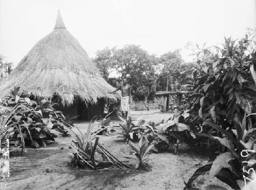 Man standing outside of house with tobacco plants