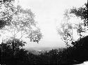 View of Pimienta taken from camp on Cerro de Palenque