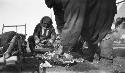 Natives slicing blubber and meat