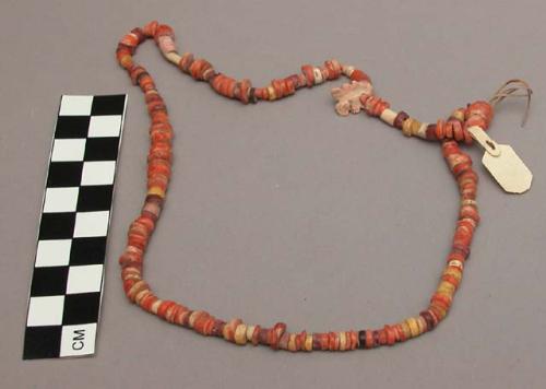 Necklace of shell beads