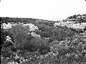 Blue Mountains From Rim Above AB-7-14 - Ruin at Extreme Right Top