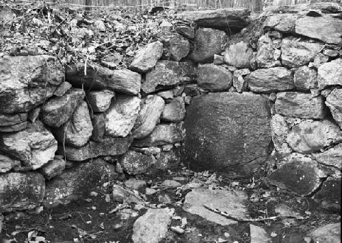 Structure 1 - Northwest wall, cellar