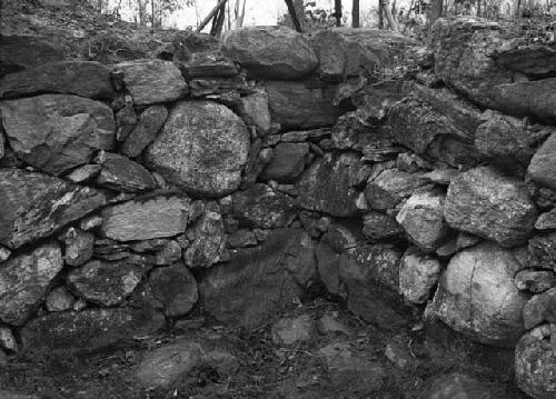 Structure 1 - Northeast corner, cellar