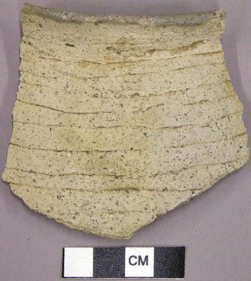 Corrugated rim sherd