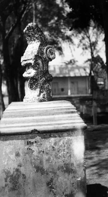 Serpent head sculpture on modern pedestal