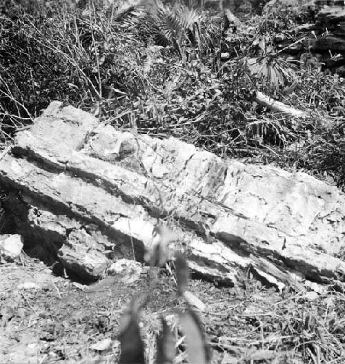 Fallen molding of roof of temple Yukluuk