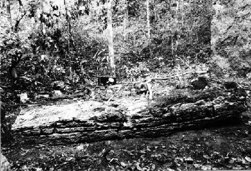 Stela 3, right side of fallen piece