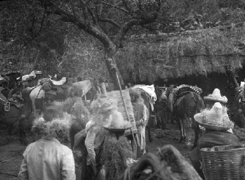 Crowd gathered for the festival of the Black Christ