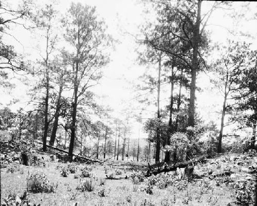 View between two parallel mounds