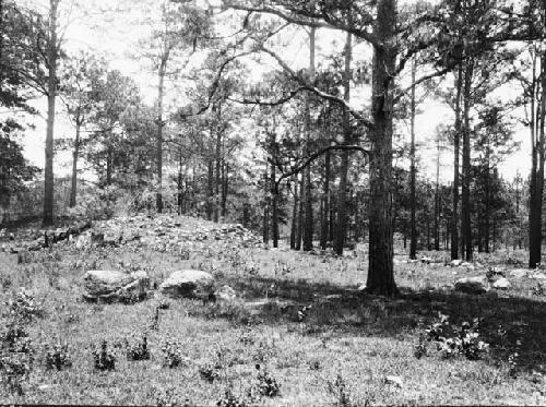 View of parallel mounds