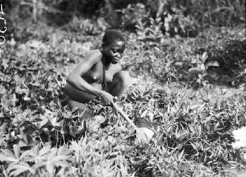 Young woman hoeing in field