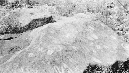 Petroglyphs on Doolittle Ranch