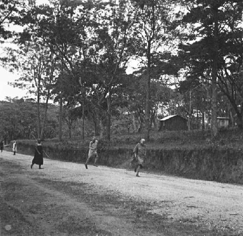 Candidates returning from a circumcision at Kaimosi