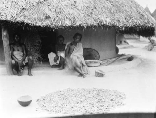 Women drying tobacco in the sun