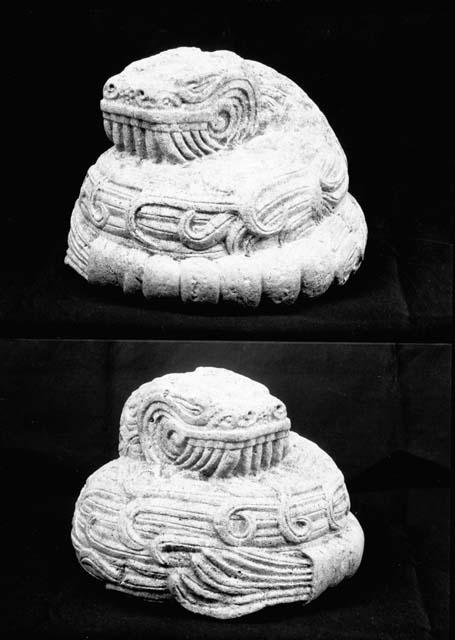 Two front views of coiled serpent stone