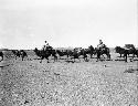 Mongol camel caravan