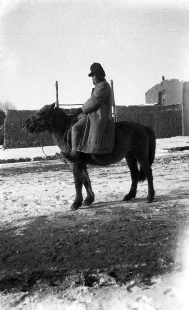 Man on pony