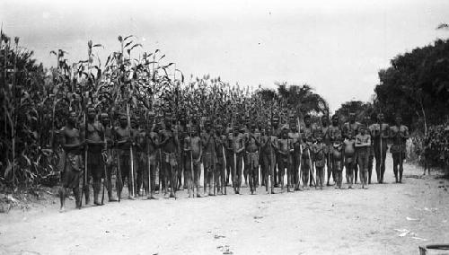 All male hunting party lined up with spears in front of tall stalks