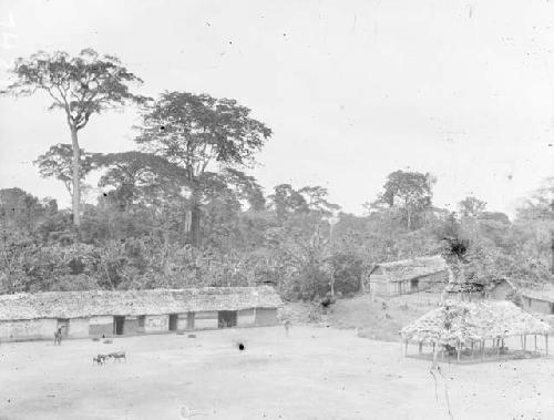 Group of decorated huts in a clearing