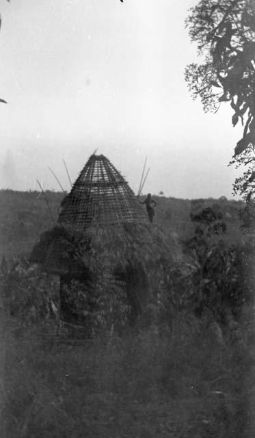 Banganti and Bafusam huts, the type now being built in Bamum