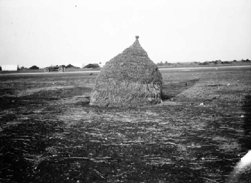 Straw bee-hive hut