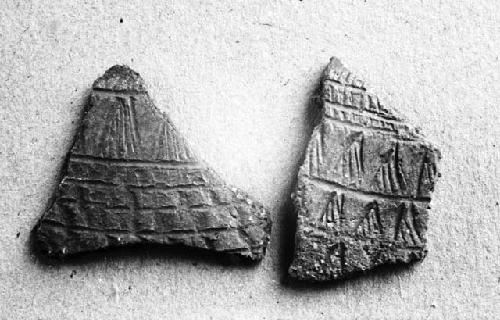 Two potsherds