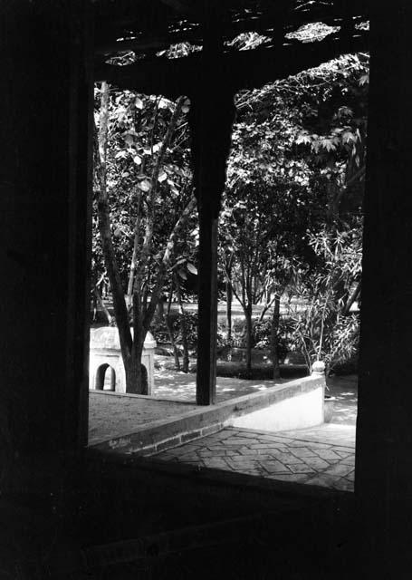 Posgam aqsaqal's garden, view of garden of trees through a doorway