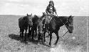 Boy jockey leading two horses