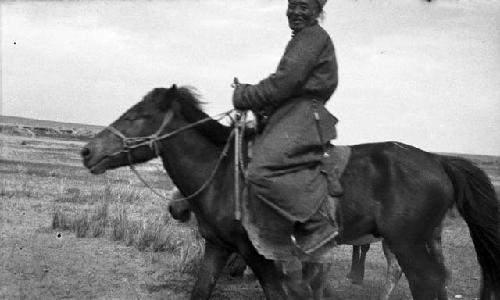 Man riding and leading horses