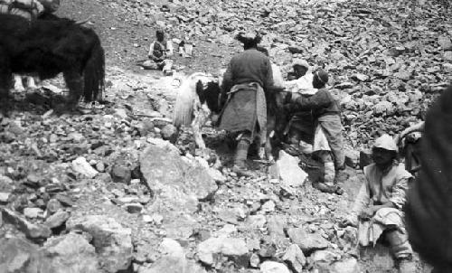 Men and pack ponies on Kordong