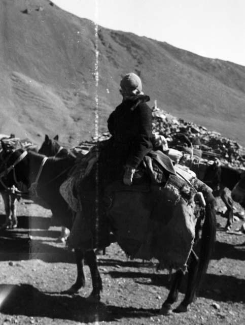 Eleanor on pony, Karakorum Pass, other loaded horses in background