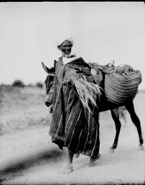 Temsaman man leading a donkey