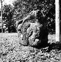 Sculptured stone serpent head