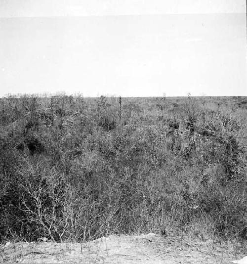 View of East end of Mound 2 from Mound 1