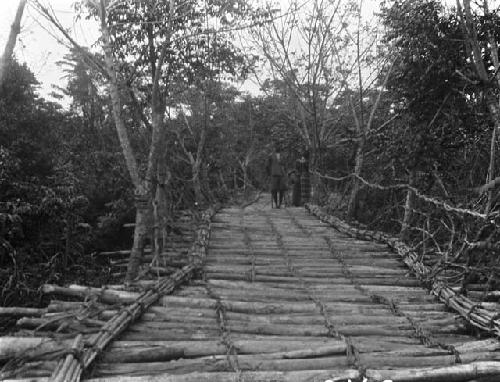 Mano log bridge in jungle