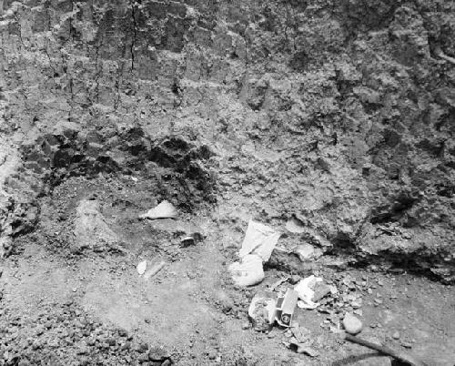 Grave excavation pit showing sting ray spines. Exploratory Pit 7, Grave 4