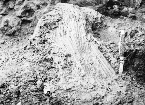 Grave excavation pit with knife, sting ray spines. Exploratory Pit 7, Grave 1