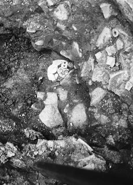 Grave excavation showing gold breast plate ornament in situ, pit 7; Grave 1