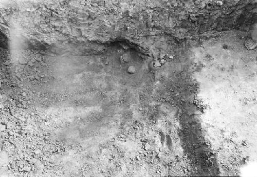 Grave 2C, excavation 2-31, section 8