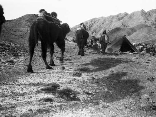 Camel caravan, lost camp