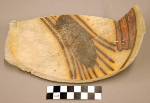 Fragments of pottery bowl. Sikyatki.