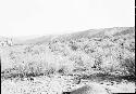 Pueblo Ruin across Gila River from T.J. Ranch