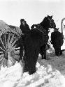 Near Dorbujing, Eleanor on cart in snow