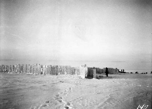 Corral made out of ice blocks for the annual round up or deer count