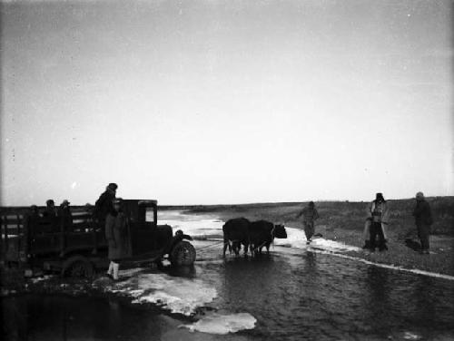 Couple of ox pulling truck from frozen river, several people standing around