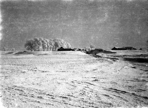 Landscape view of snow covered field and trees