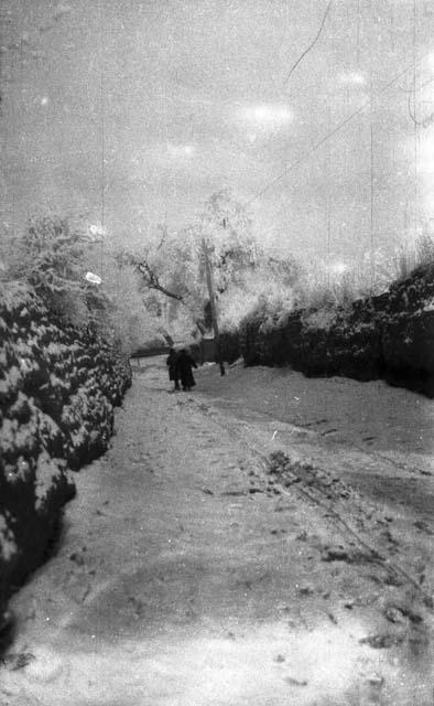 Two people in the distance walking along snow covered street