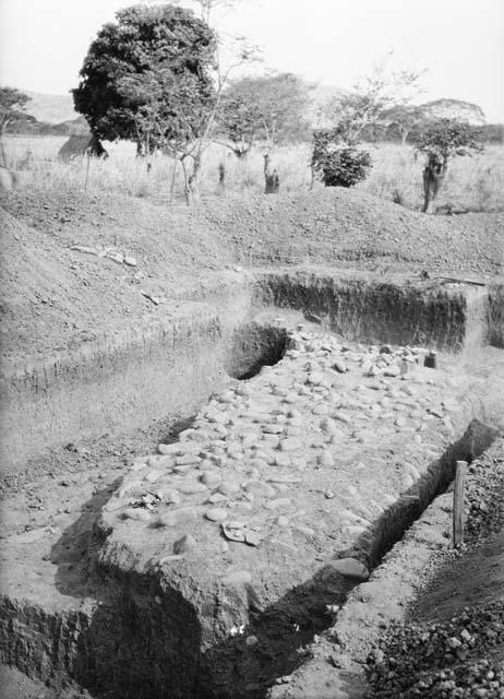 Overview of excavation site 3-31 showing exposed stones