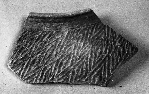 Potsherd - Indo-China: Northern Annam - Thanh-hoa, Tam-tho Kiln 3